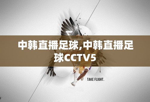 中韩直播足球,中韩直播足球CCTV5