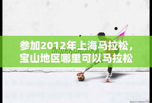 参加2012年上海马拉松，宝山地区哪里可以马拉松体检，费用多少？